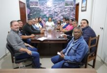 Projeto Feira Conecta Medeiros é apresentado na Câmara de Anastácio com foco em cultura e desenvolvimento