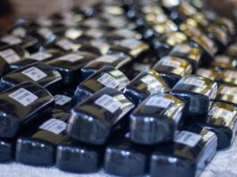 Vereadores participam da entrega de mais de 200 óculos pelo programa Olhar Renovado