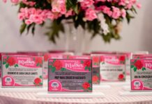 Câmara Municipal celebra Dia Internacional da Mulher com entrega de honrarias em cerimônia especial